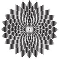 Prismatic Abstract Flower Line Art II 5