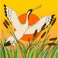 Birds 6