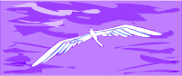 Seagull 1
