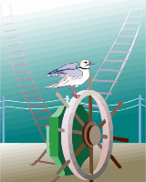 Seagull 2