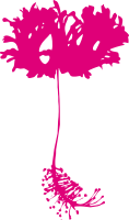 Exotic flower