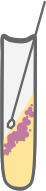 Bacterial Culture Tube