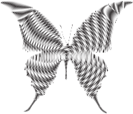 Prismatic Butterfly Silhouette 6 Concentric 2