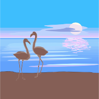 Flamingos 3