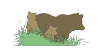 Mommy bear