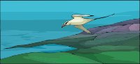 Flying bird