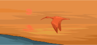 Flying bird 2
