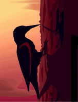 Woodpecker 2
