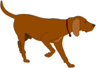 Hunting Dog