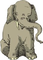 Elephant 11