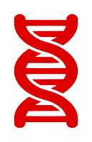 DNA Strand Icon