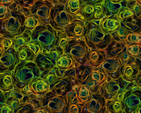 Floral background 4