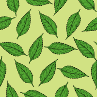 Summer leaves pattern