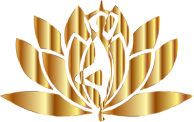 Gold Yoga Lotus No Background