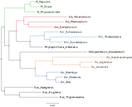 ToL added taxons tree