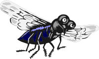 Fly 5