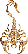 Sleek Tribal Scorpion Polished Copper