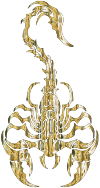 Sleek Tribal Scorpion Gold 2