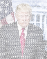 Trump Portrait Typography