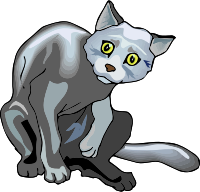It's a cat's life 3