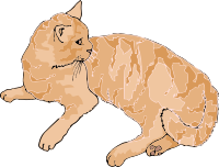 It's a cat's life 7