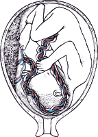 Inside Mother