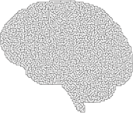Brain Maze
