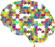Missing Brain Jigsaw Puzzle Prismatic