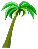 Palm or Coconut Tree