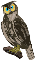 Perched Owl