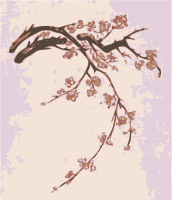 Plum Blossoms