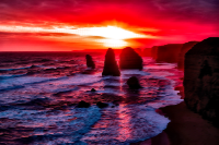 Surreal Homeward Bound