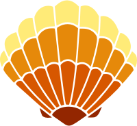Sea shell 45 (colour 2)