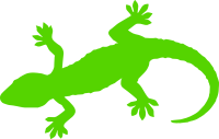 Green Gecko Silhouette