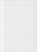 Foglio protocollo a quadretti A4