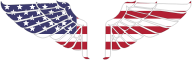 American Wings With Stroke