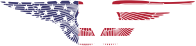 American Hand Drawn Wings