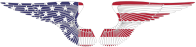 American Hand Drawn Wings With Stroke