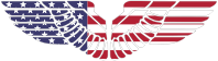 American Eagle Wings With Stroke