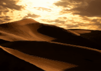 Desert scene