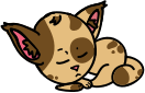 Sleeping Cat