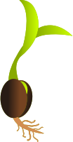 Germinating seed vectorized