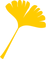 Gingko leaf vectorized