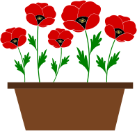 Potted poppies vectorized