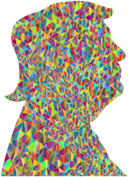 Polychromatic Low Poly Trump Profile Silhouette