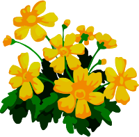 Plant 5