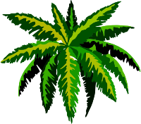 Plant 6