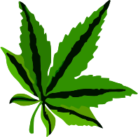 Leaf 9
