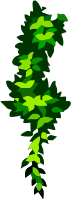 Plant 7