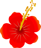 Flower 102